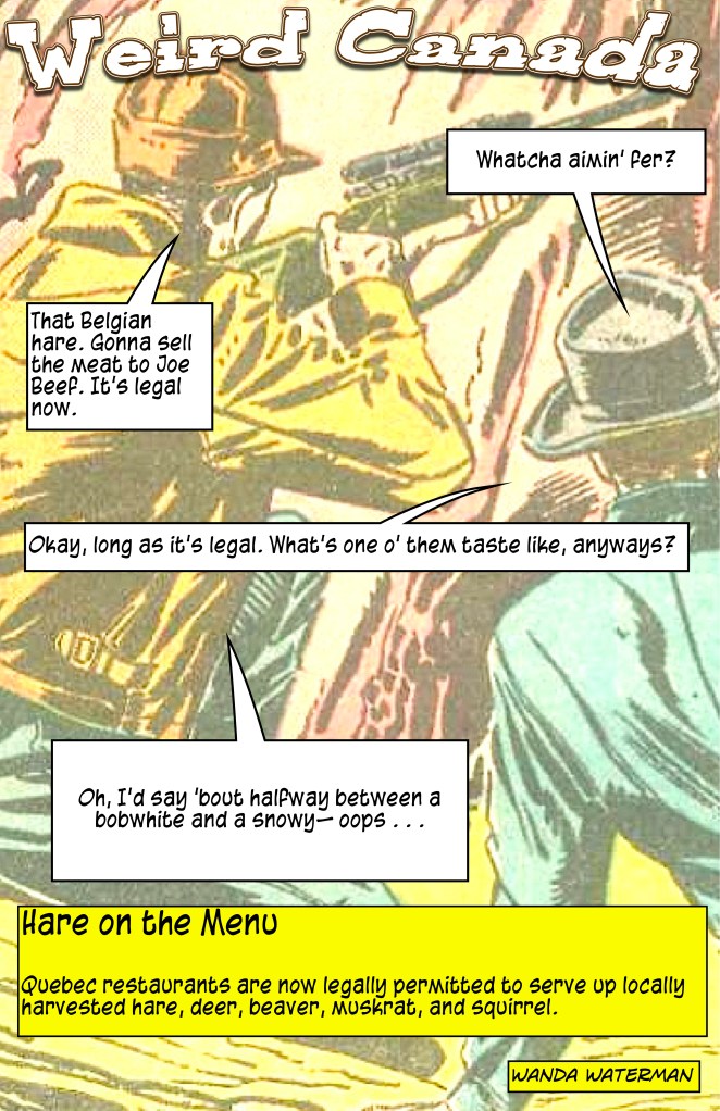 weirdcanadasquirrelonmenu