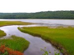 Bear River, Nova Scotia, at high tide (Waterman photo)