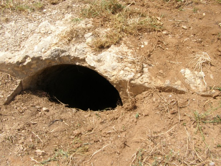 The long-buried opening of a tunnel by which the bey (the Tunisian ruler) could escape if his enemies approached the palace. The tunnel was originally big enough for the bey and his entourage to enter on horseback. The tunnel ends 13 kilometres away, at the Manouba Women's Prison.